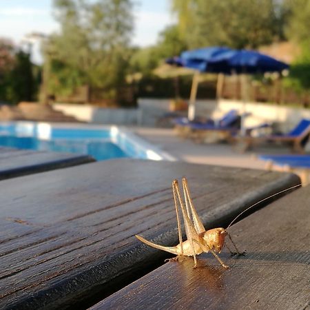 Agriturismo Cornieto Monteleone dʼOrvieto Εξωτερικό φωτογραφία
