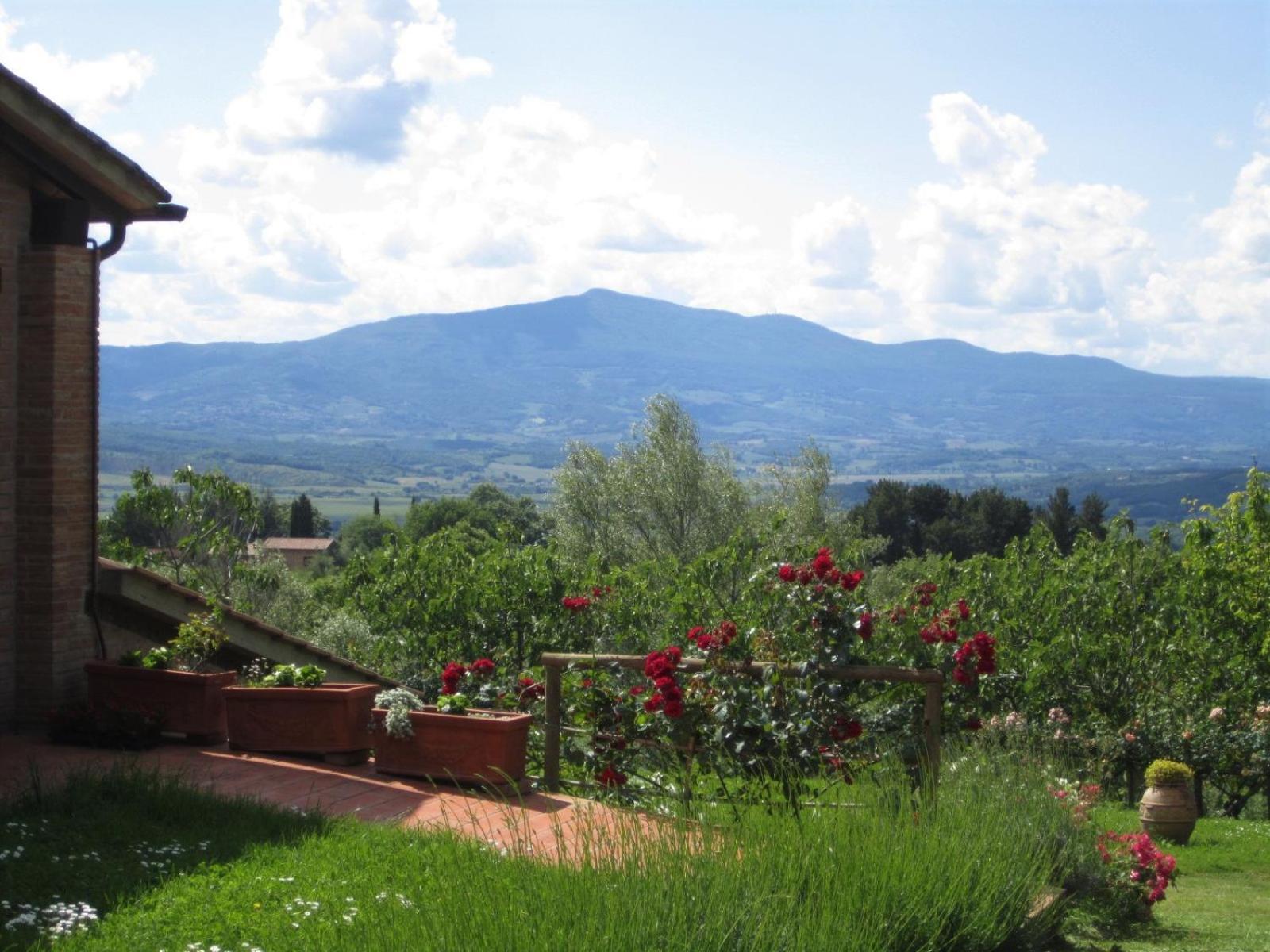 Agriturismo Cornieto Monteleone dʼOrvieto Εξωτερικό φωτογραφία