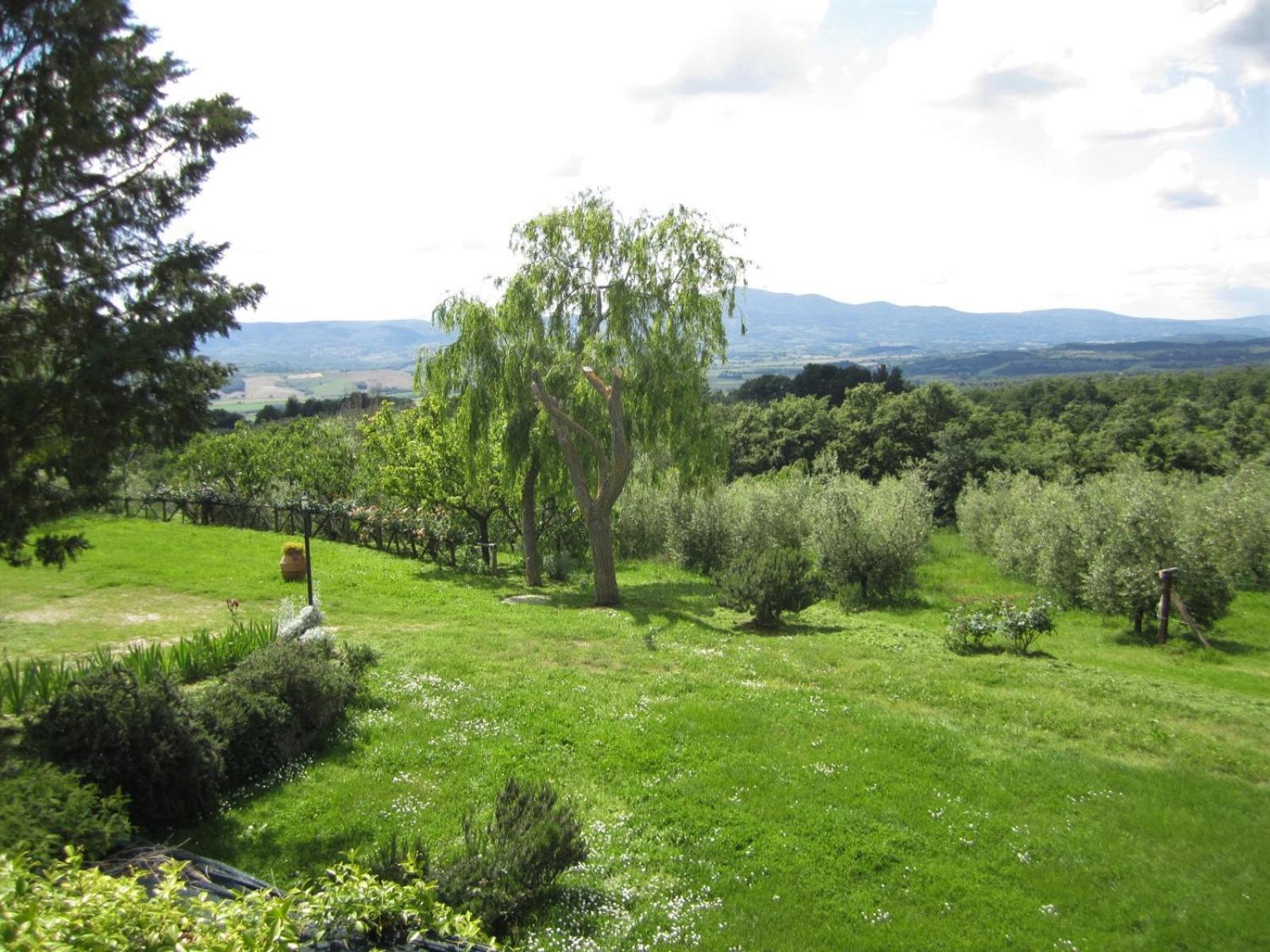 Agriturismo Cornieto Monteleone dʼOrvieto Εξωτερικό φωτογραφία