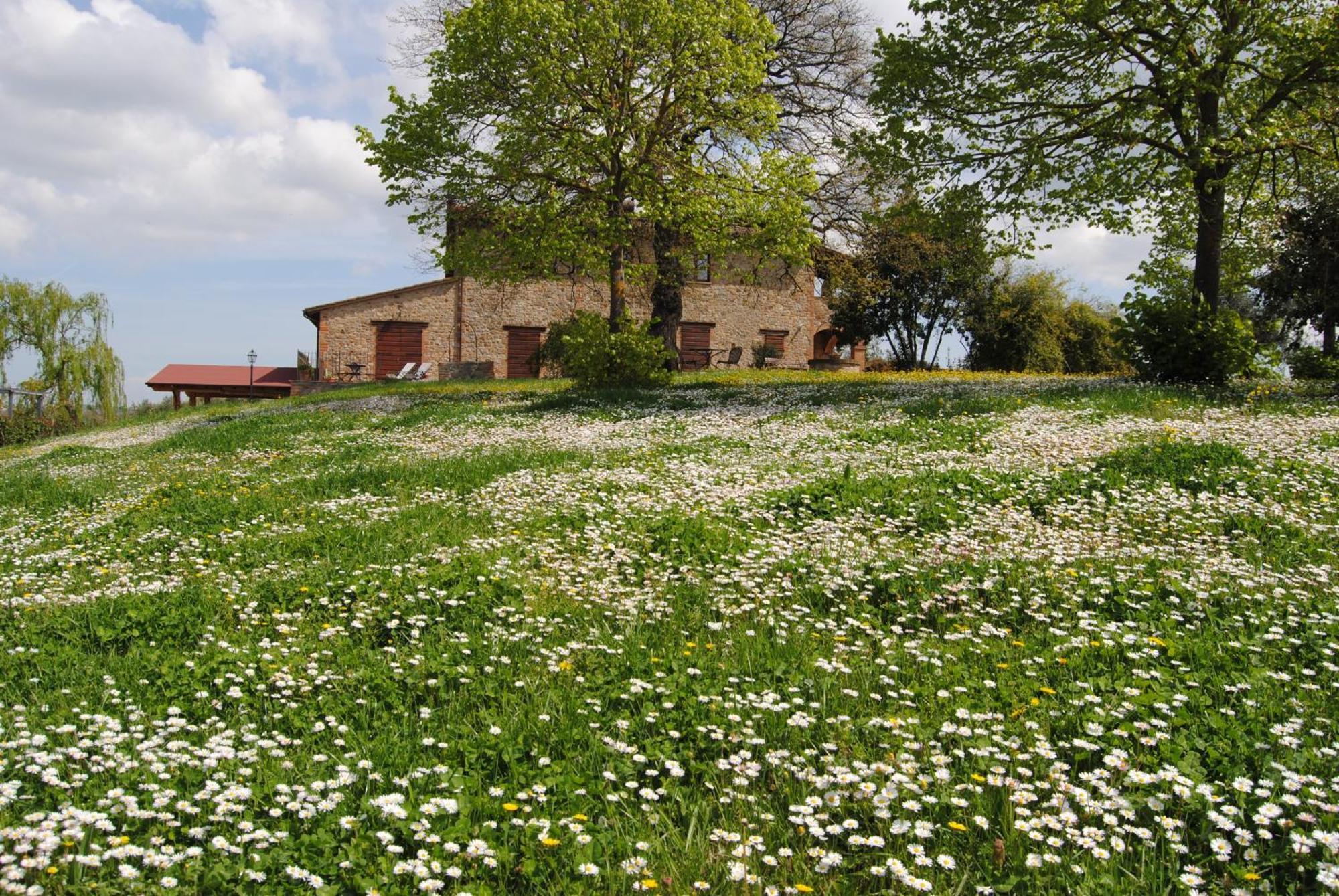 Agriturismo Cornieto Monteleone dʼOrvieto Εξωτερικό φωτογραφία
