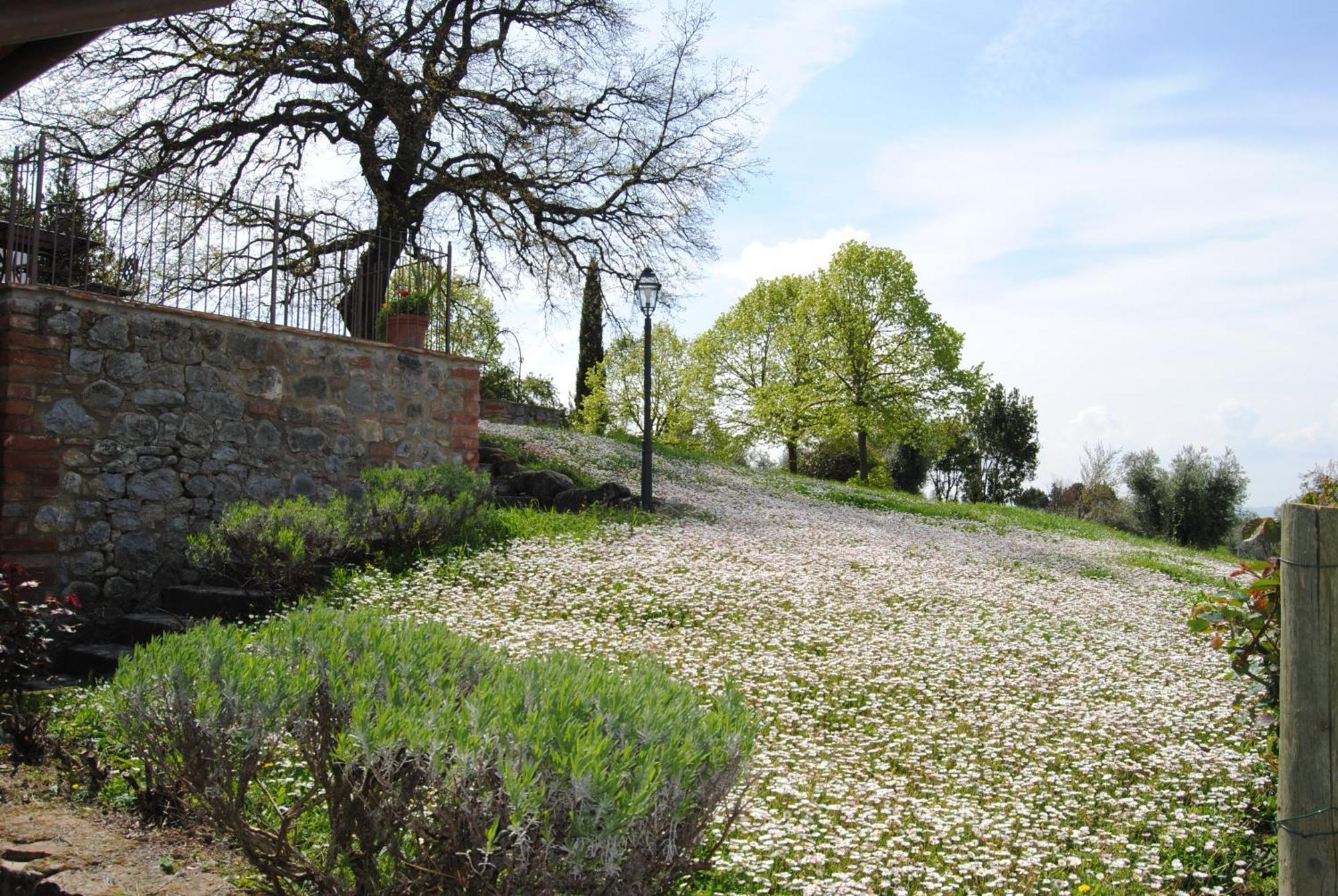 Agriturismo Cornieto Monteleone dʼOrvieto Εξωτερικό φωτογραφία