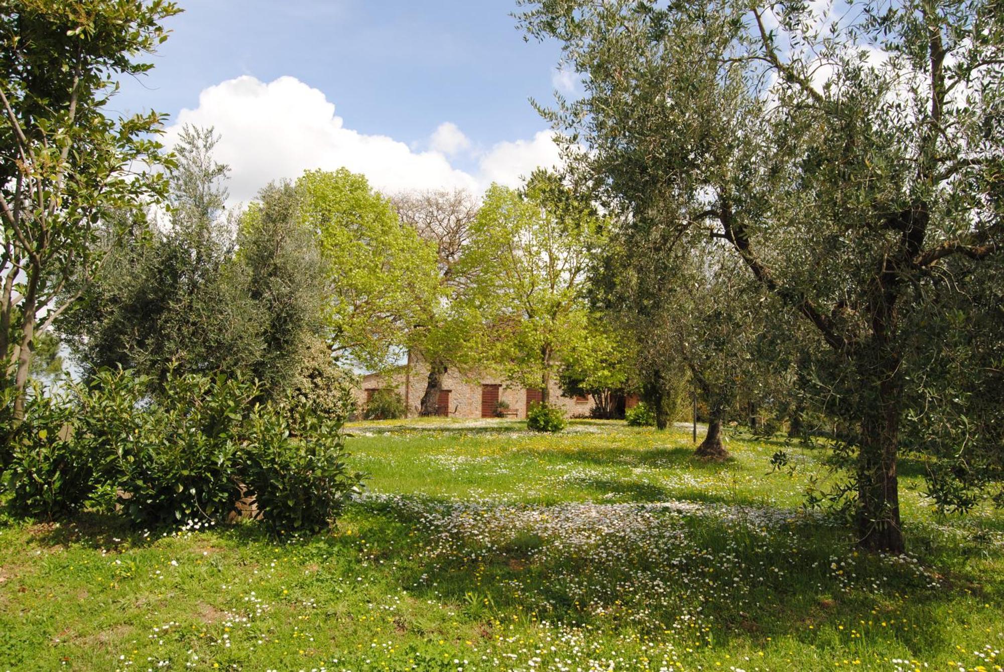 Agriturismo Cornieto Monteleone dʼOrvieto Εξωτερικό φωτογραφία