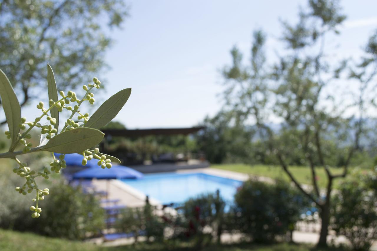 Agriturismo Cornieto Monteleone dʼOrvieto Εξωτερικό φωτογραφία
