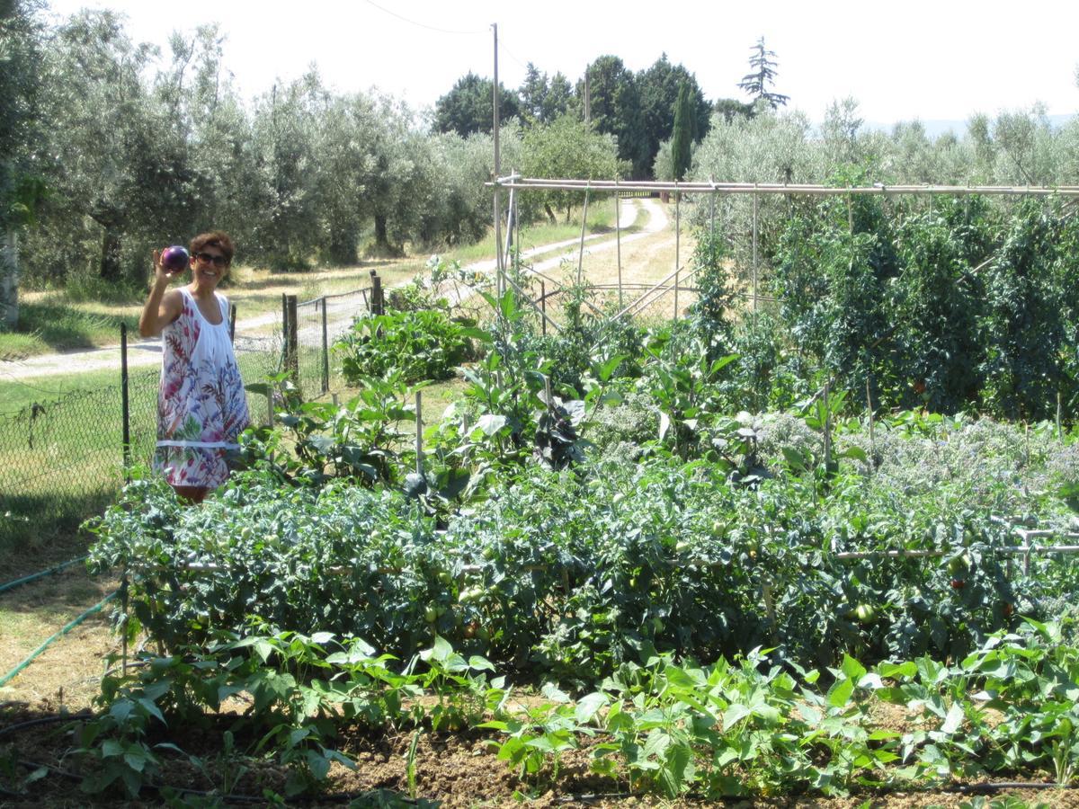 Agriturismo Cornieto Monteleone dʼOrvieto Εξωτερικό φωτογραφία